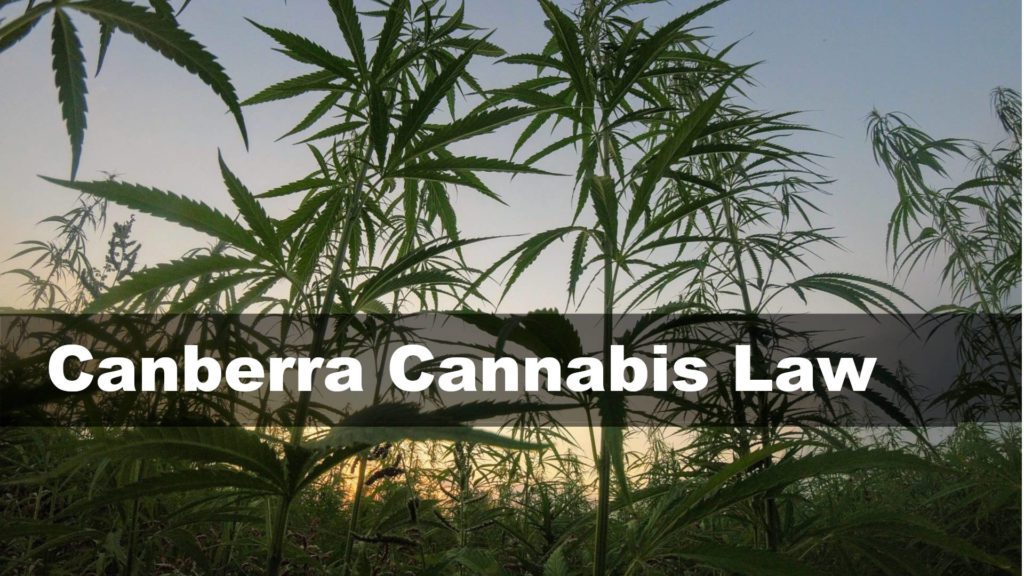 Canberra Cannabis Law