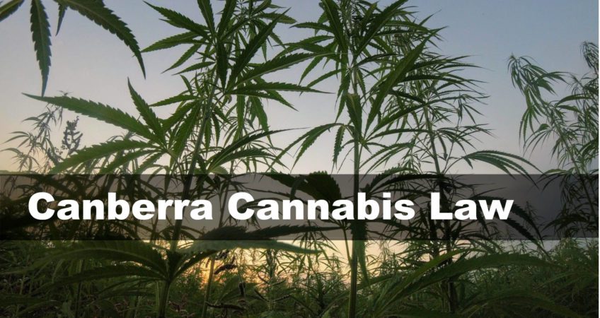 Canberra Cannabis Law